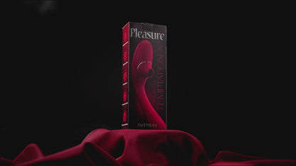Pleasure Temptation X⁴
